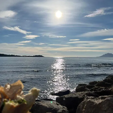 Superbe 3 Pieces - Vue Mer - 50m De La Croisette * 戛纳